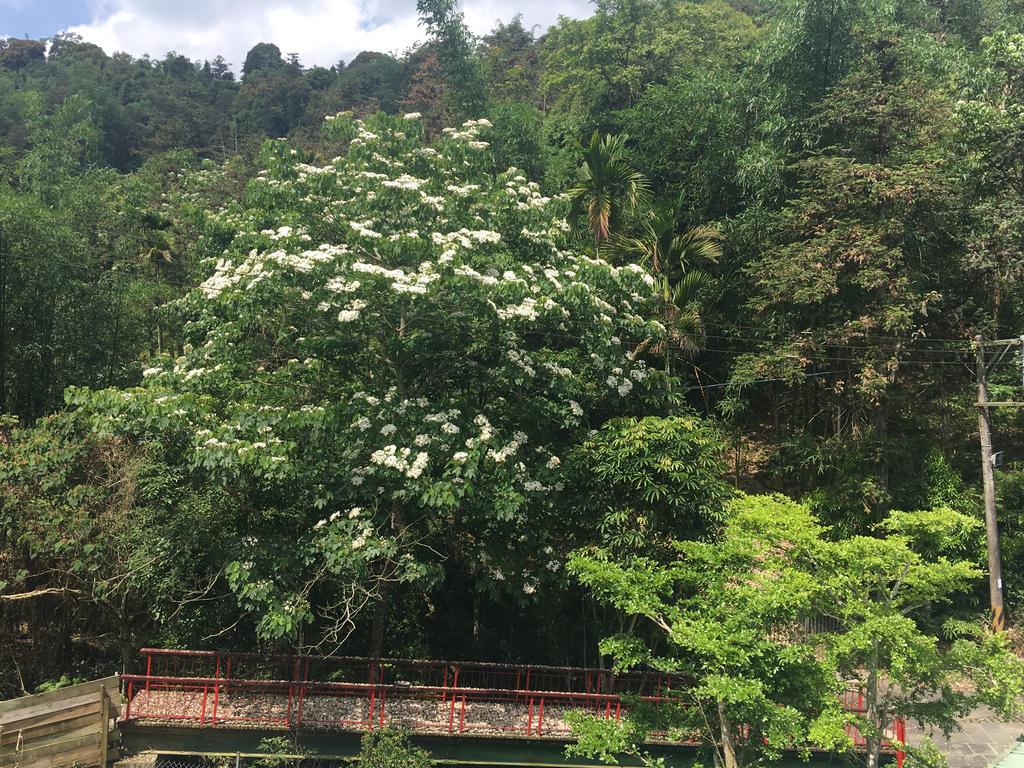 Dingdai Cherry Blossoms Resort Nantou Eksteriør bilde